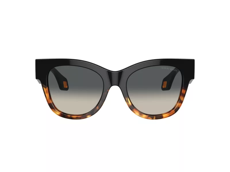Giorgio Armani Solglasögon AR 8195U 587519