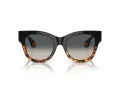 Giorgio Armani Solglasögon AR 8195U 587519
