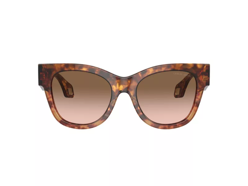 Giorgio Armani Solglasögon AR 8195U 603351