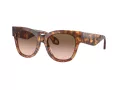 Giorgio Armani Solglasögon AR 8195U 603351
