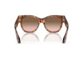 Giorgio Armani Solglasögon AR 8195U 603351
