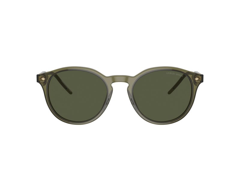 Giorgio Armani Solglasögon AR 8211 607452