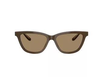 Giorgio Armani Solglasögon AR 8221 595753