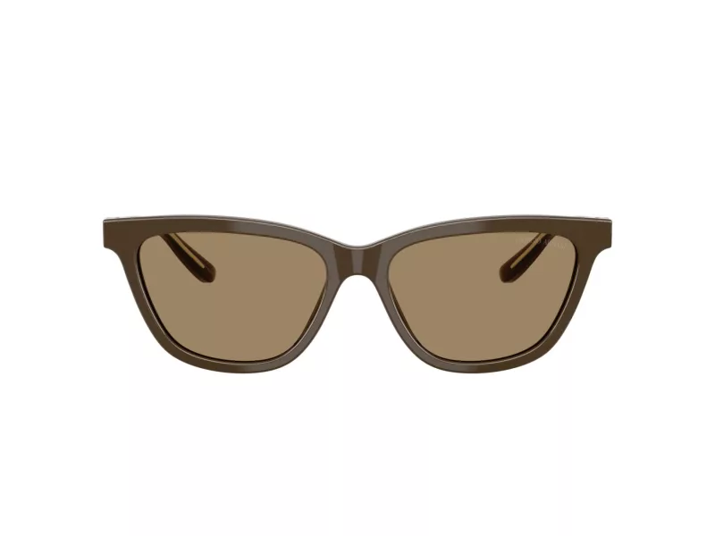Giorgio Armani Solglasögon AR 8221 595753