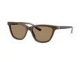 Giorgio Armani Solglasögon AR 8221 595753