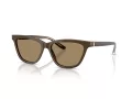 Giorgio Armani Solglasögon AR 8221 595753