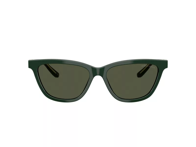 Giorgio Armani Solglasögon AR 8221 617331