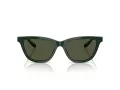 Giorgio Armani Solglasögon AR 8221 617331