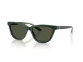 Giorgio Armani Solglasögon AR 8221 617331