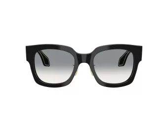 Giorgio Armani Solglasögon AR 8223 500111