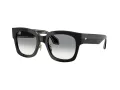 Giorgio Armani Solglasögon AR 8223 500111