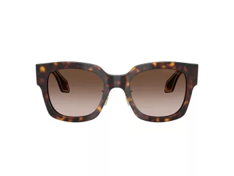 Giorgio Armani Solglasögon AR 8223 502613