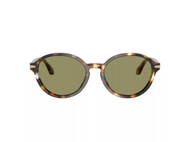 Giorgio Armani Solglasögon AR 8237 623214