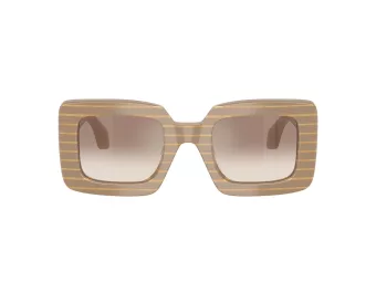 Giorgio Armani Solglasögon AR 8241U 631094