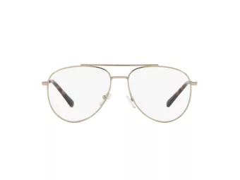 Armani Exchange Glasögon AX 1055 6110