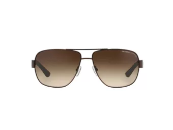 Armani Exchange Solglasögon AX 2012S 6058/13