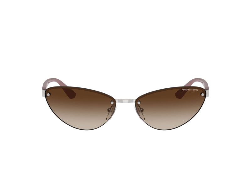 Armani Exchange Solglasögon AX 2049S 604513