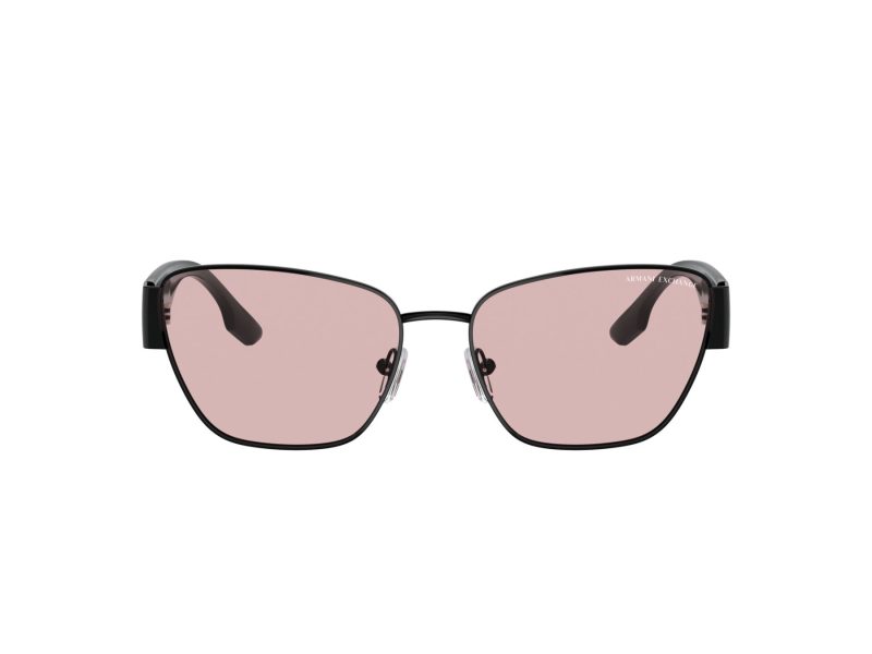 Armani Exchange Solglasögon AX 2051S 6000/5