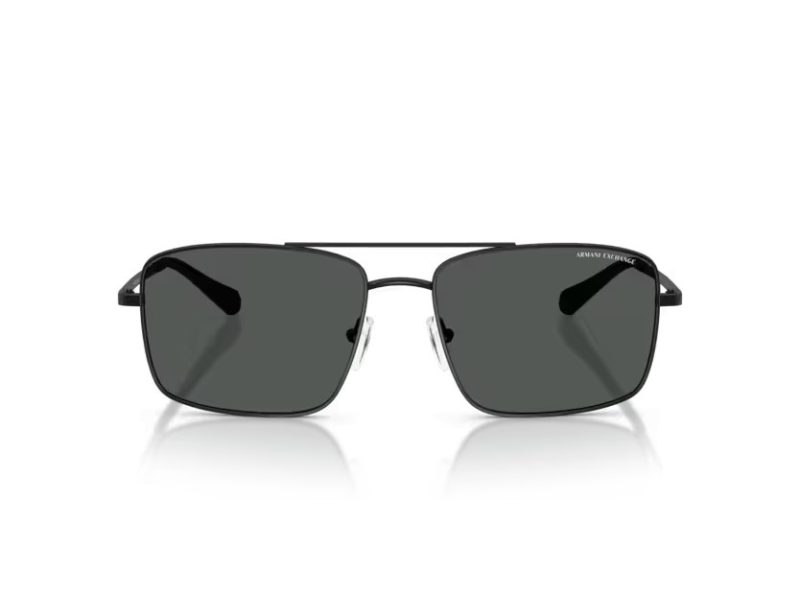 Armani Exchange Solglasögon AX 2054S 600087