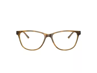 Armani Exchange Glasögon AX 3047 8213