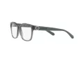Armani Exchange Glasögon 3098 8242