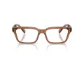 Armani Exchange Glasögon AX 3116 8358