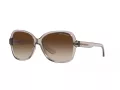 Armani Exchange Solglasögon AX 4029S 824013