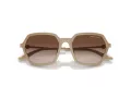 Armani Exchange Solglasögon AX 4139SU 834213