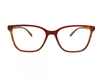 Berkeley Glasögon BB 2026 Red