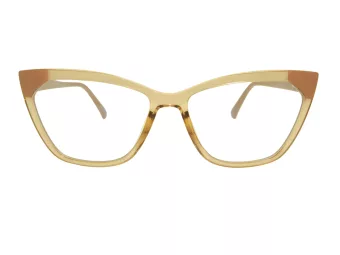 Berkeley Glasögon BB 2040 C4