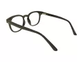 Berkeley Glasögon BB 2125 C1