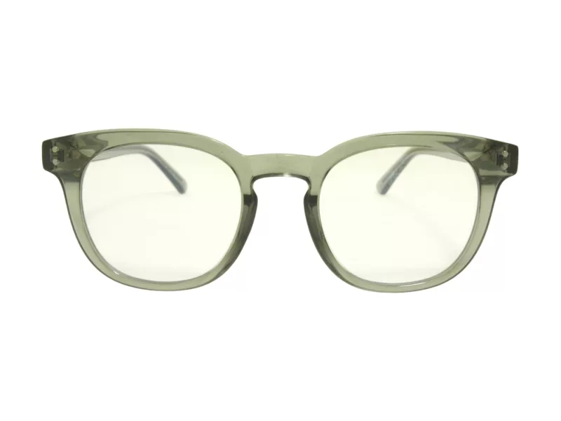 Berkeley Glasögon BB 2125 C4