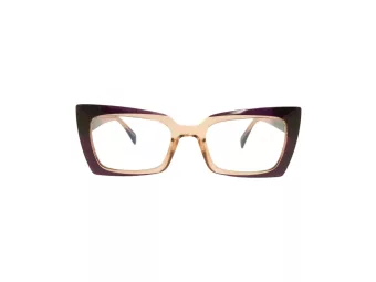 Berkeley Glasögon BB 2164 C5