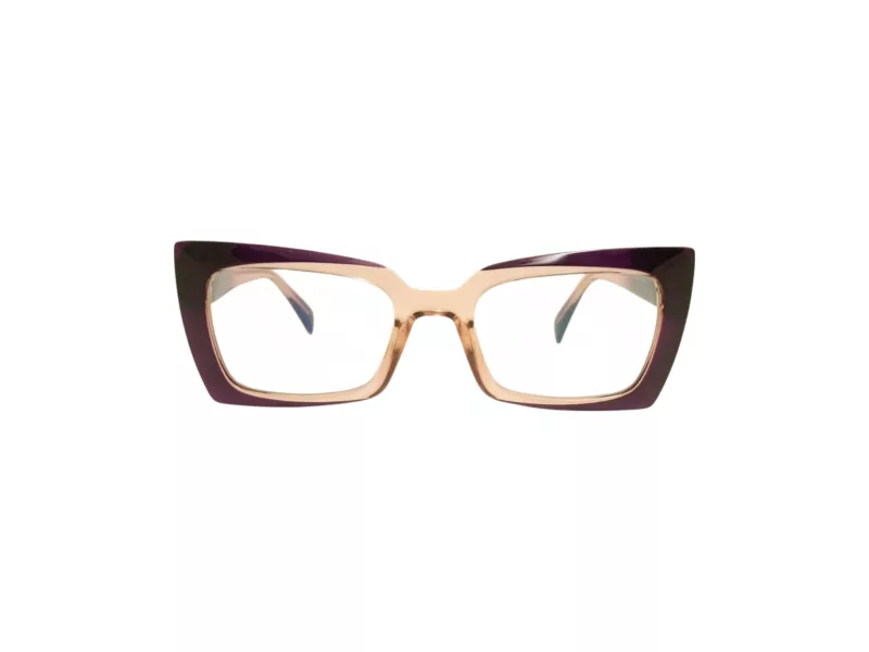 Berkeley Glasögon BB 2164 C5