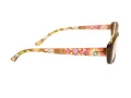 Berkeley Glasögon BB 5093 C3