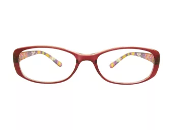 Berkeley Glasögon BB 5093 C6