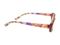 Berkeley Glasögon BB 5093 C6