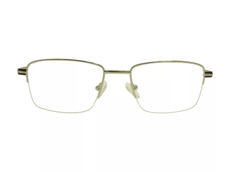 Berkeley Glasögon BB 5136 C17