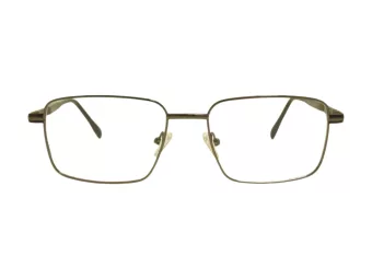 Berkeley Glasögon BB 56071 C2