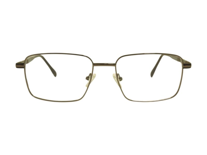 Berkeley Glasögon BB 56071 C2