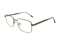 Berkeley Glasögon BB 56071 C2