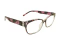 Berkeley Glasögon BB 5831 C1