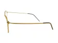 Berkeley Glasögon BB 6627 GT