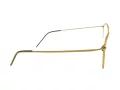 Berkeley Glasögon BB 6627 GT
