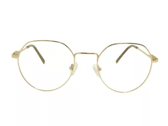 Berkeley Glasögon BB 705001 C2