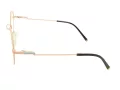 Berkeley Glasögon BB 705001 C3