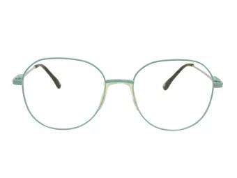 Berkeley Glasögon BB 705002 C4