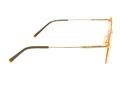 Berkeley Glasögon BB 705016 C3