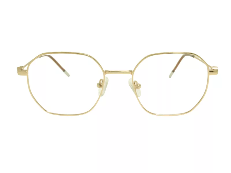 Berkeley Glasögon BB 705019 C2
