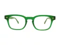 Berkeley Glasögon BB 88010 C4